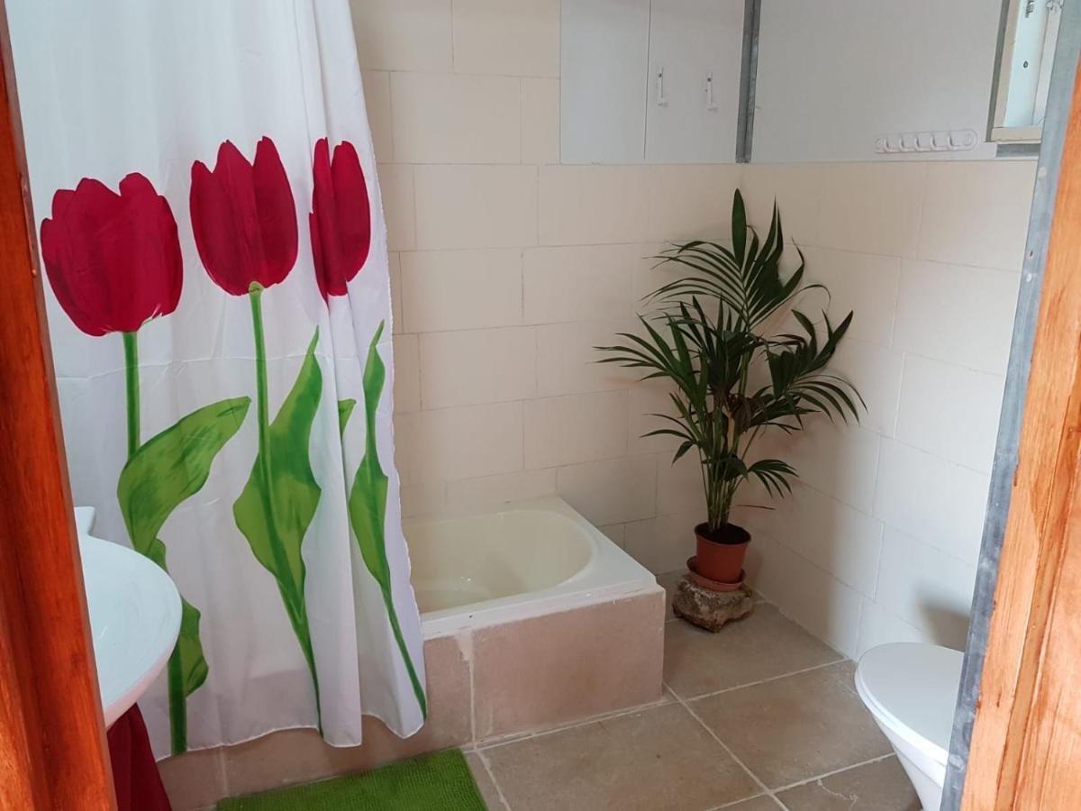 יורט מונגולי Apartment Matzuva ภายนอก รูปภาพ